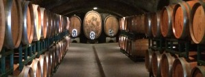 Historic wine caves dug in 1888